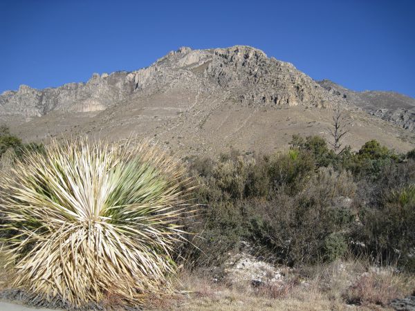 Guadelupe Mountains