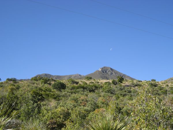 Guadelupe Mountains