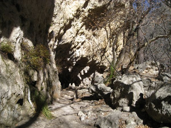 Guadelupe Mountains