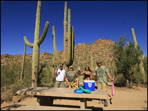 Saguaro National Park