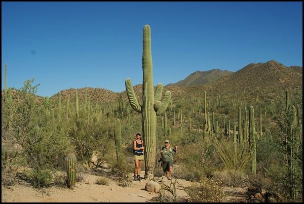 Saguaro National Park