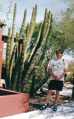 Organ Pipe Cactus Park